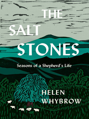 cover image of The Salt Stones